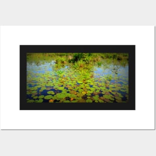 Gorham Pond Lily Pads Posters and Art